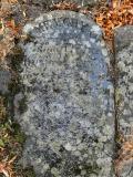 image of grave number 259598